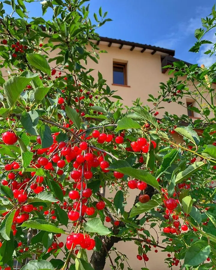 Hotel Casa Due Marie Marano Sul Panaro